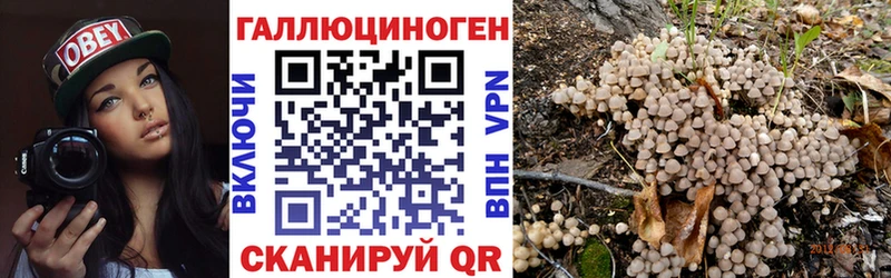 KRAKEN ONION  купить   Лесной  Галлюциногенные грибы Magic Shrooms 