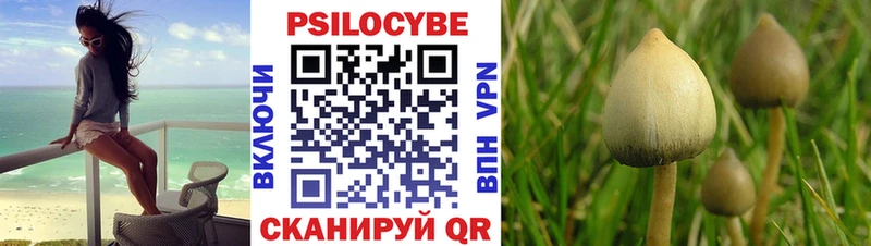 Галлюциногенные грибы MAGIC MUSHROOMS Лесной